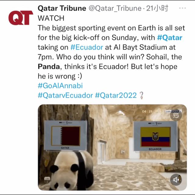 世界杯冠军首场翻车,世界杯输球过程