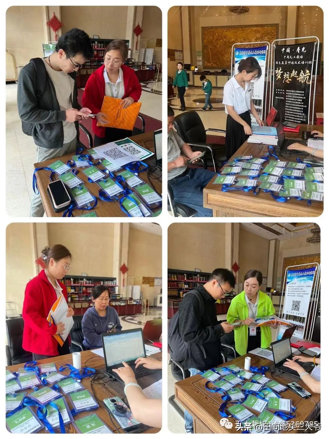 寿光中荷无土栽培基地,山东寿光中荷无土栽培