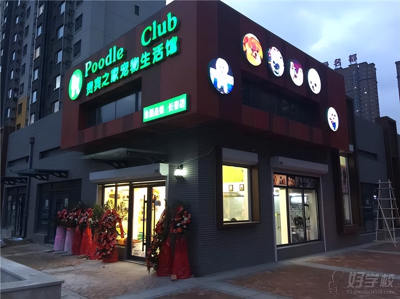 开宠物店加盟连锁排行榜,十大宠物店加盟商排行榜
