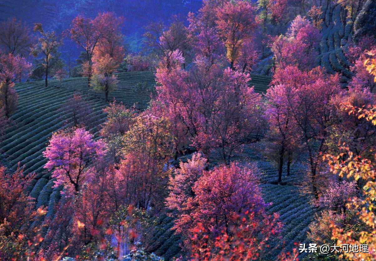 中国南方这30个景点,难说多知名,但敢说它的秋色最艳最浪漫