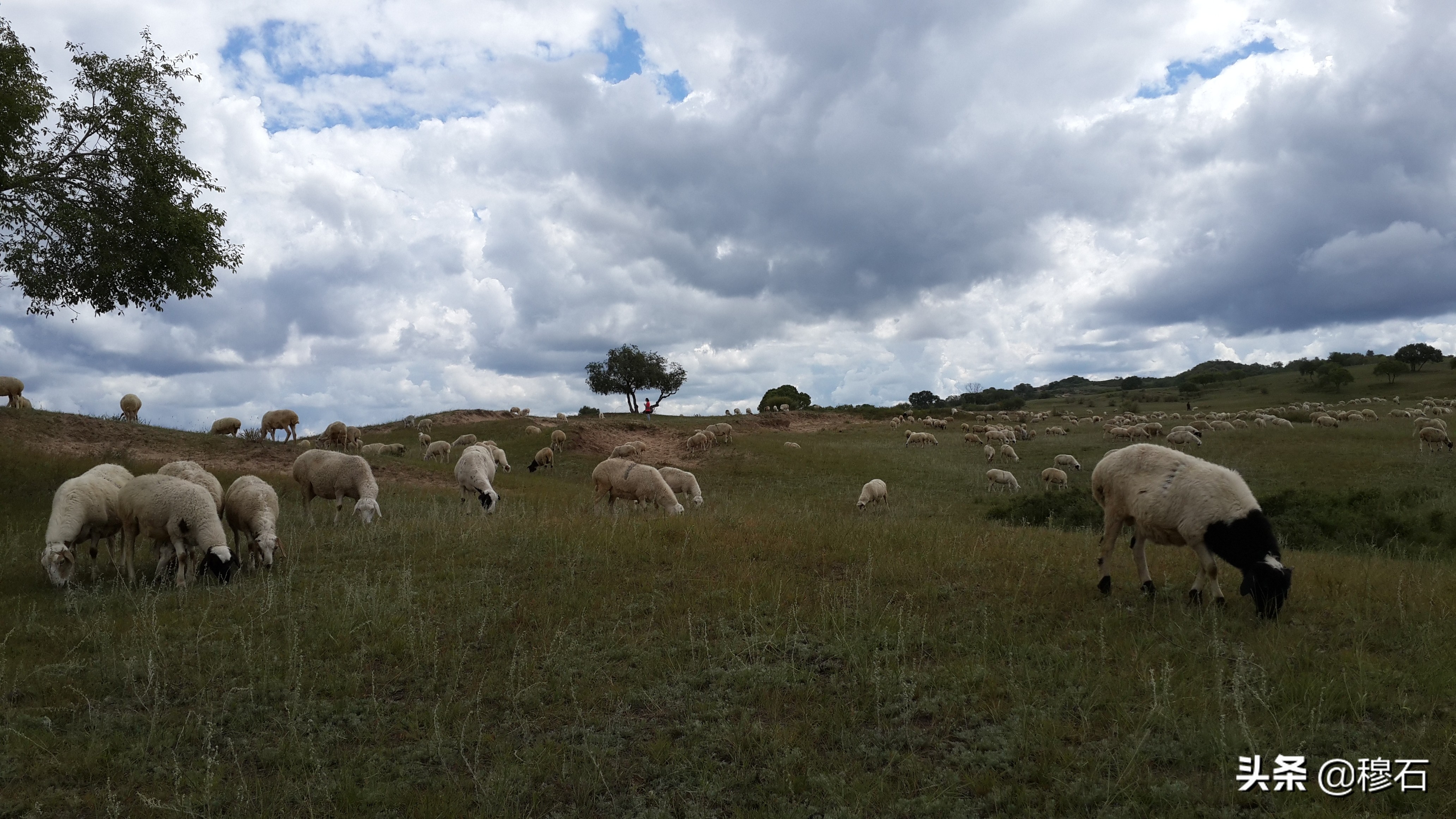 走进美丽的呼伦贝尔 (走进呼伦贝尔盟)