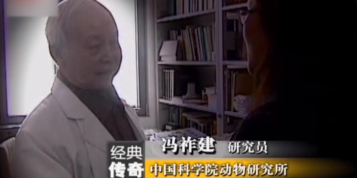 老农发现新物种,江西老农抓到神兽六不像