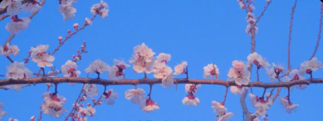 分享上百件小事,分享的一百件小事