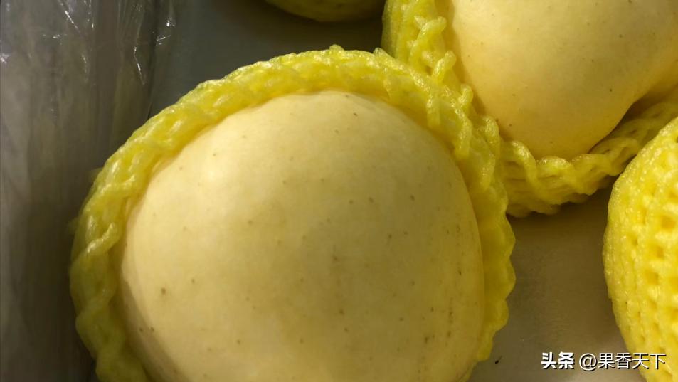 众成三号苹果新品种,最新最全苹果新品种