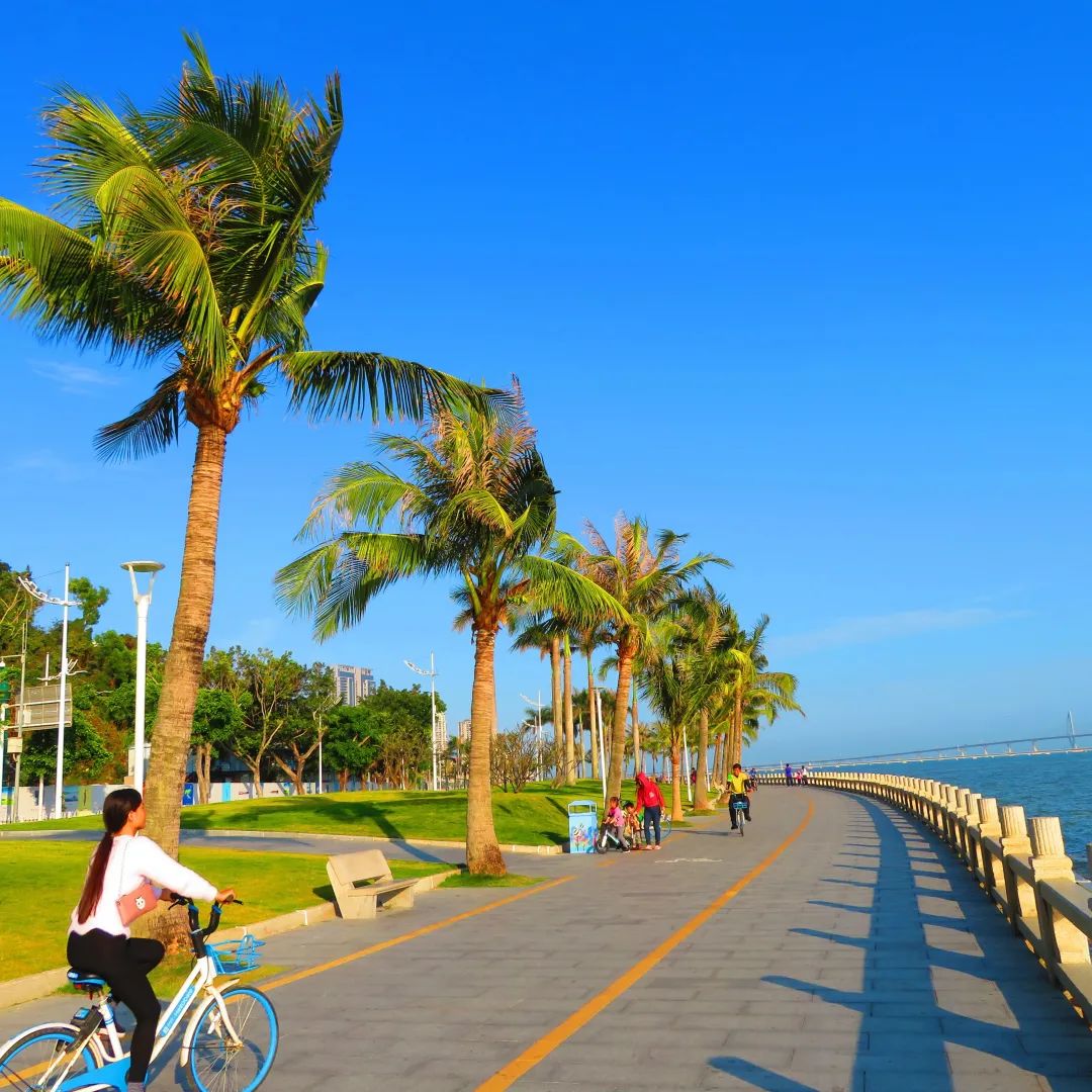 珠海出发港珠澳大桥一日游攻略,珠海冬游港珠澳大桥一日游订票