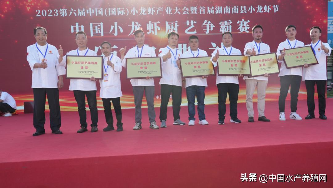 2023年南县小龙虾价格行情,南县小龙虾价格报价