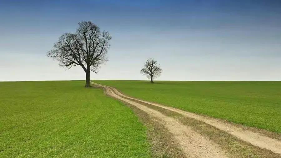 酒店小姐（10）