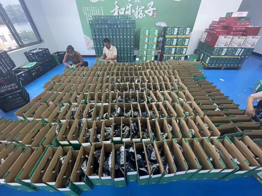 万宁和乐蟹粽子,万宁和乐粽子价格