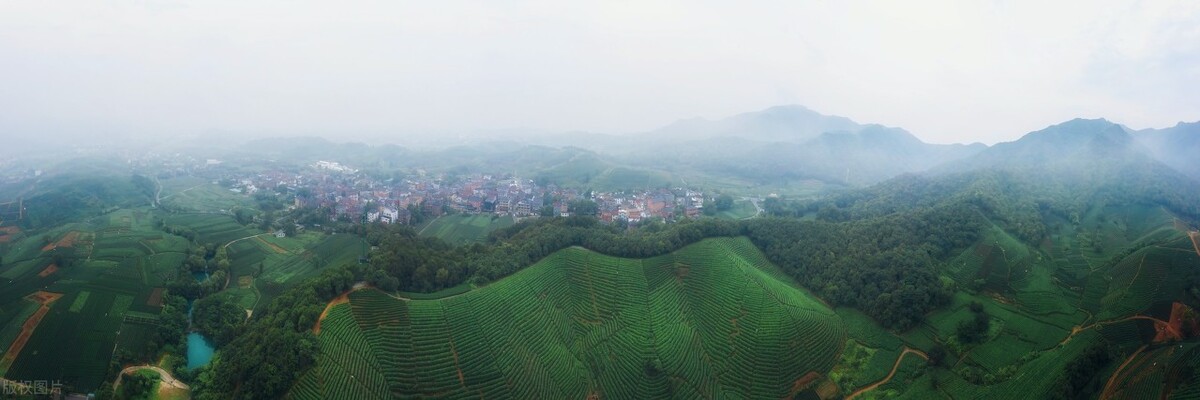 中国最好的茶叶旅游线路,浙江自驾游看茶叶路线