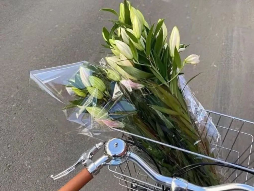 自由投稿什么最赚钱,投稿副业有哪些