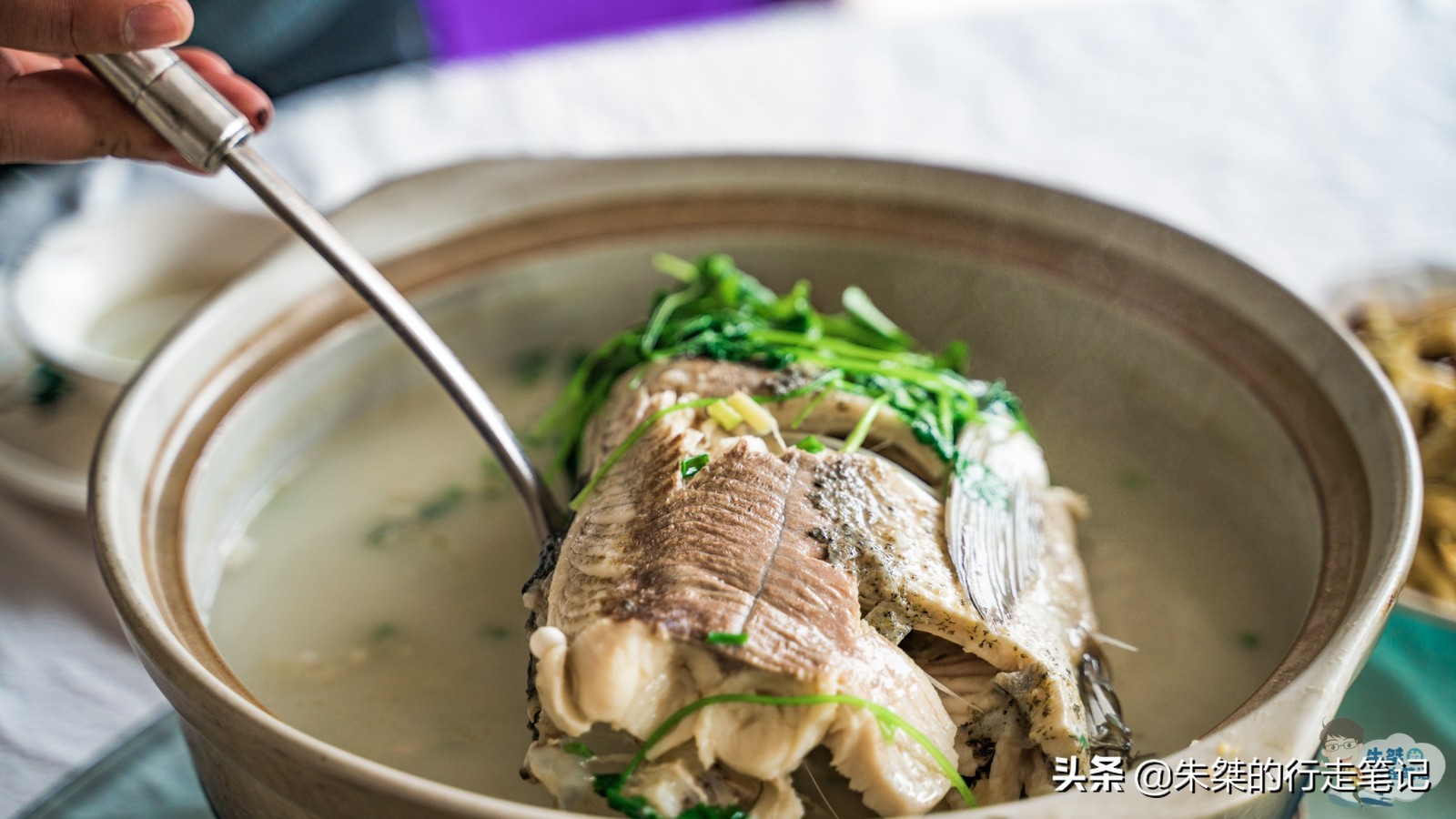 鱼最好吃的地方在哪里,把鱼做得高级