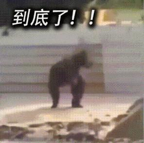 2022年股票搞笑总结,2021年上半年a股涨幅排行榜