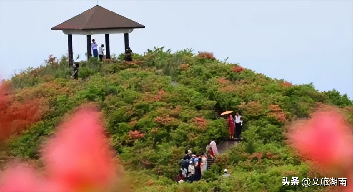 长沙女神节必打卡景点推荐,3.8妇女节湖南景区免门票