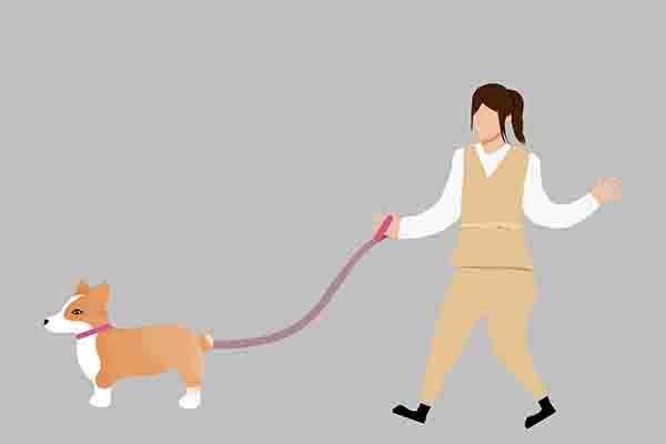 致死率100%狂犬病为何如此恐怖,狂犬病致死率100为什么还存在