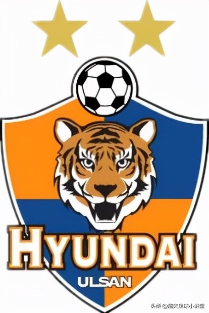 老虎代表的足球队,老虎是国内哪个足球队的队标