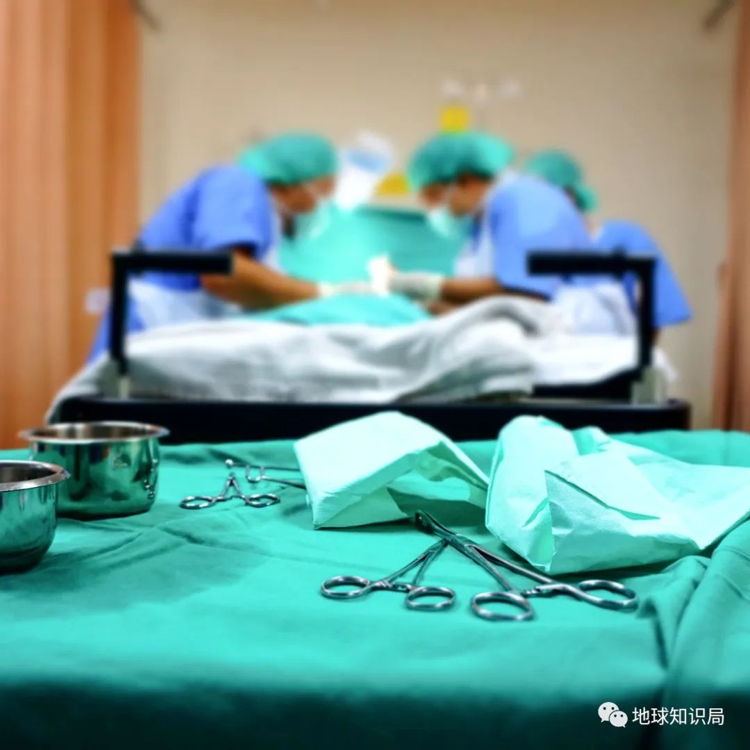 割包皮高峰期，来了！|地球知识局