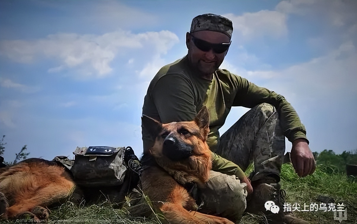 7月2日俄乌战争第494天，乌军在巴赫穆特大举*攻反**，前线最新战况