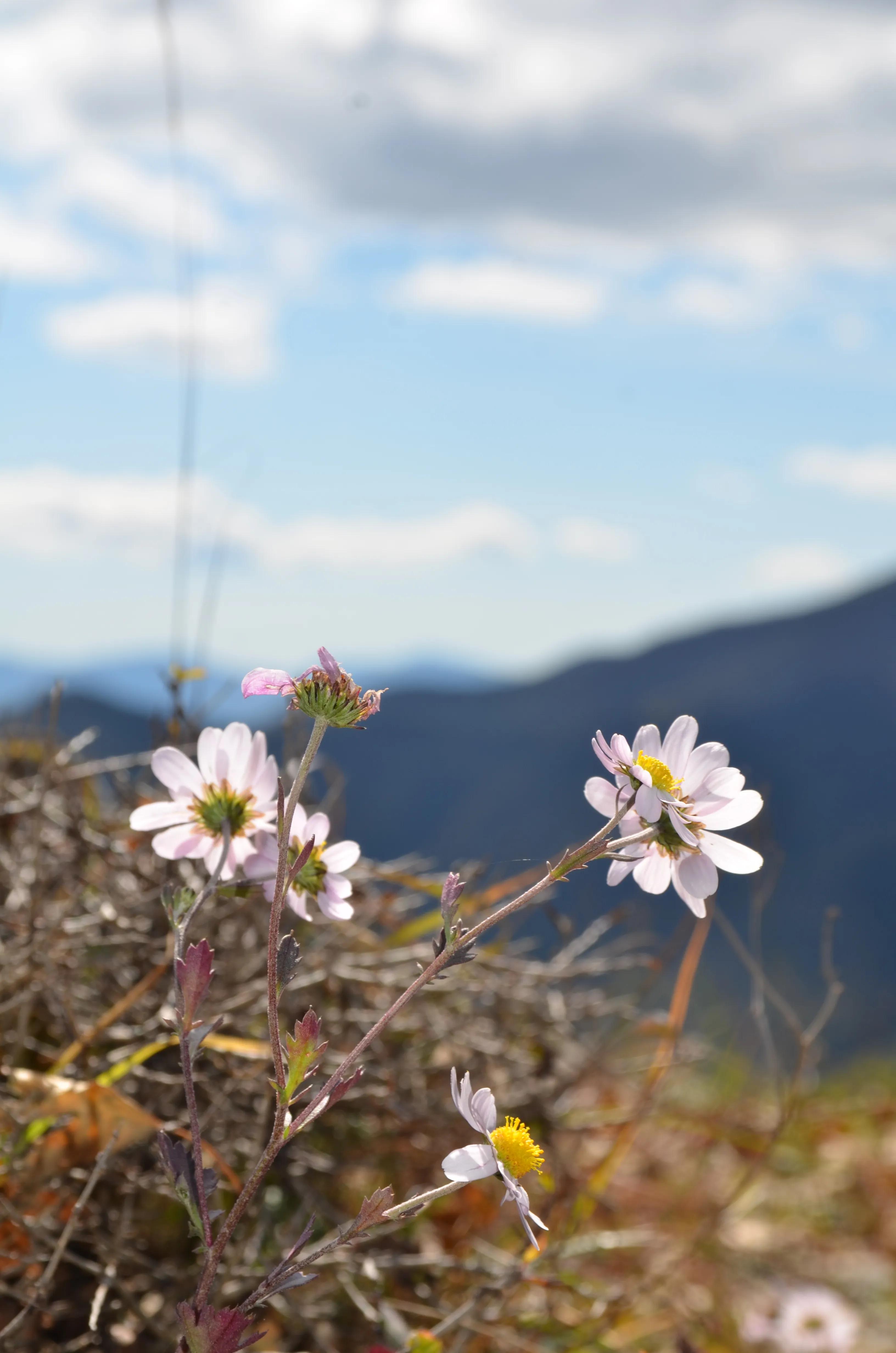 小五台山震撼,小五台山景区最新视频