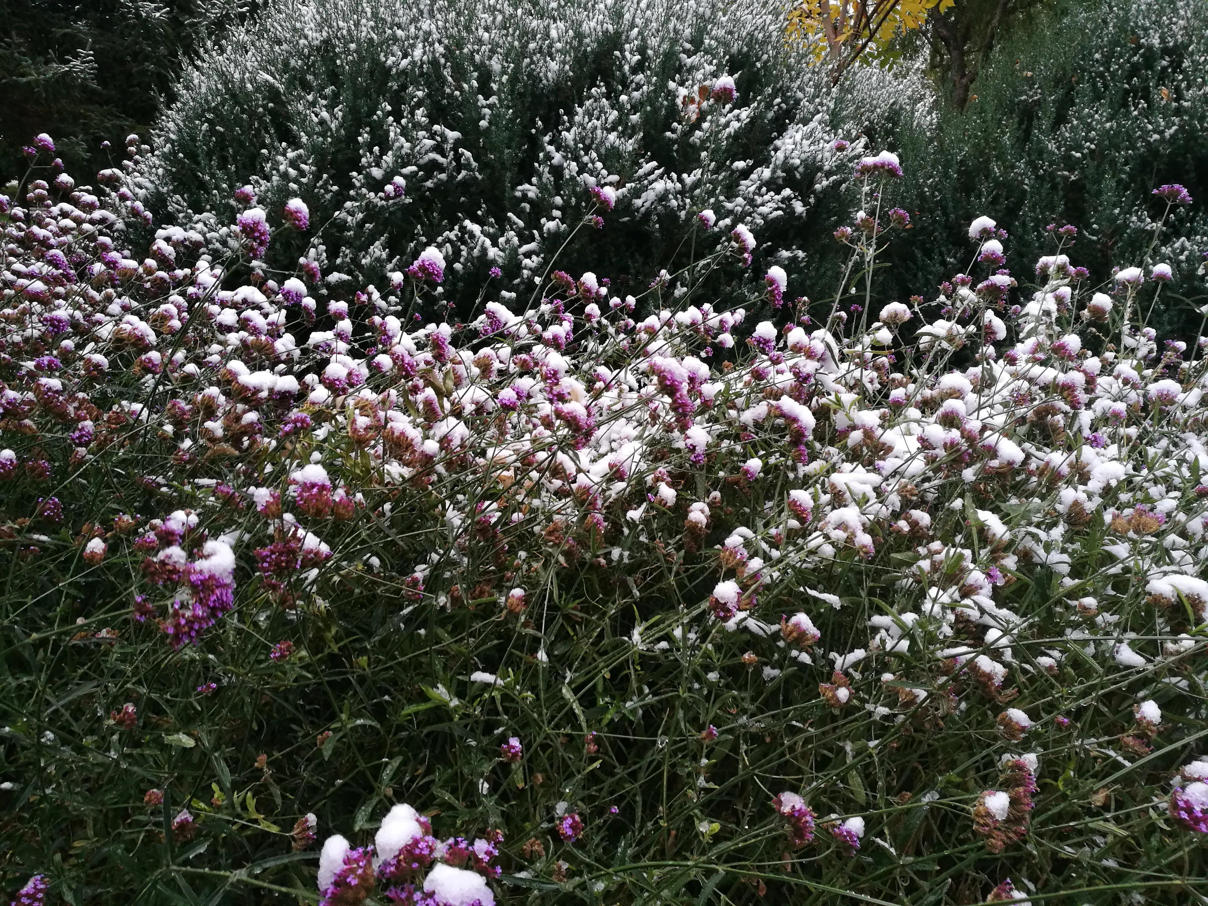 兰州大学萃英学院,央视评价兰州大学