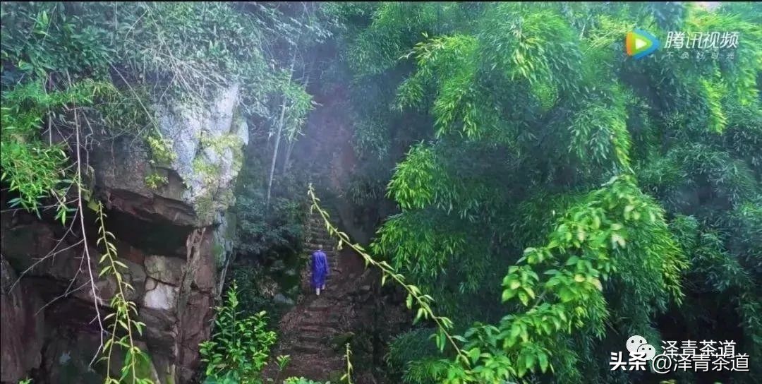 “自古名寺出名茶”，什么样的茶才能称为禅茶呢？
