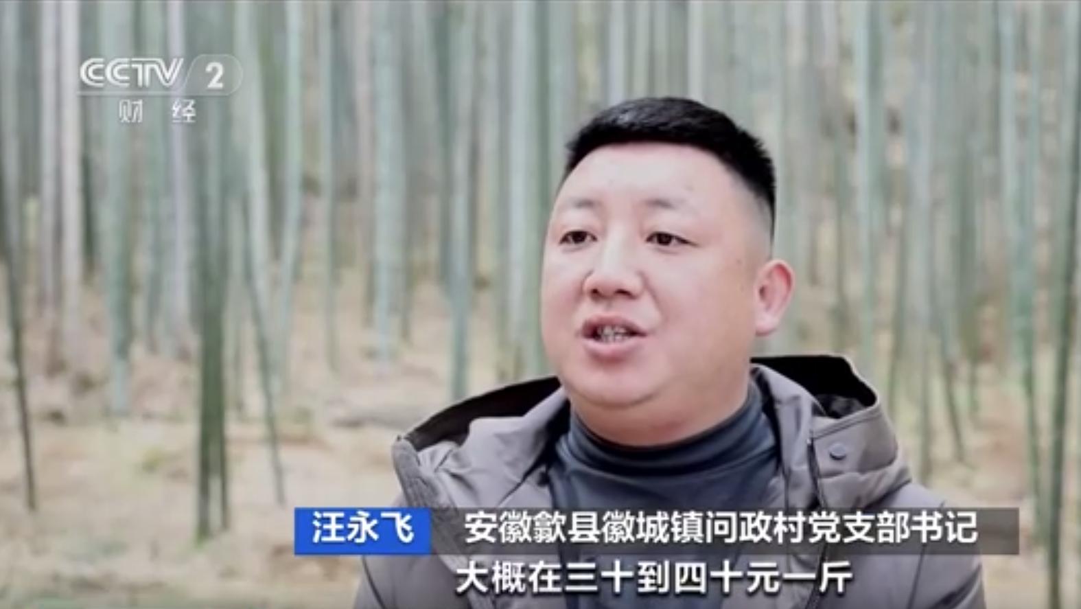 为什么冬笋便宜了,比猪肉还贵