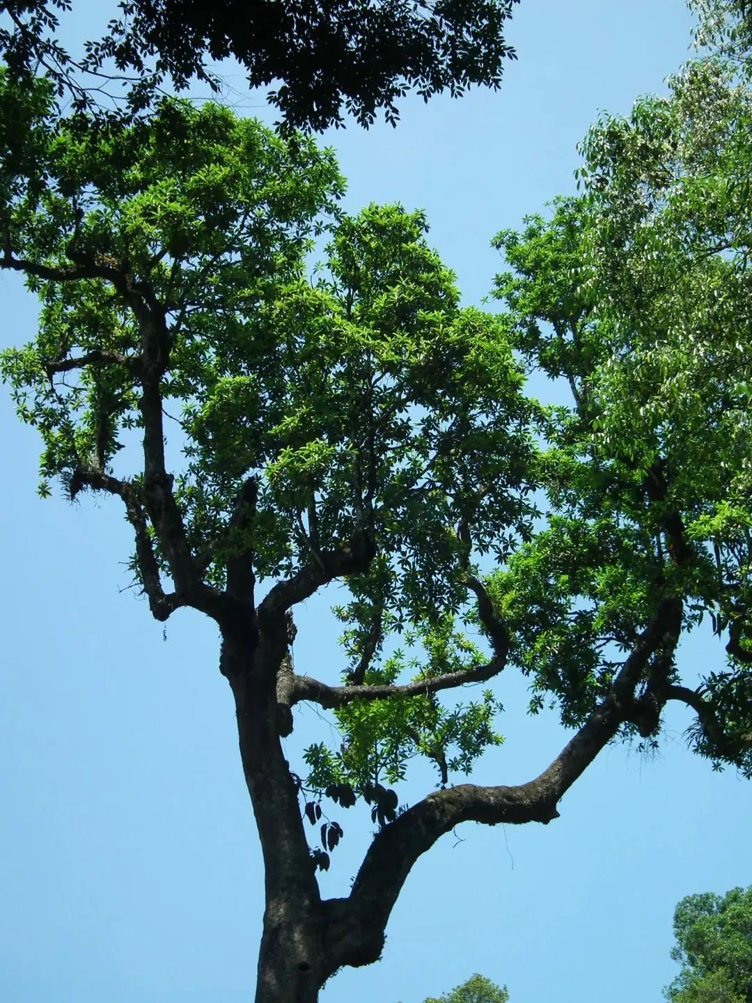 昆明七彩云南怎么样,七彩云南避暑家园