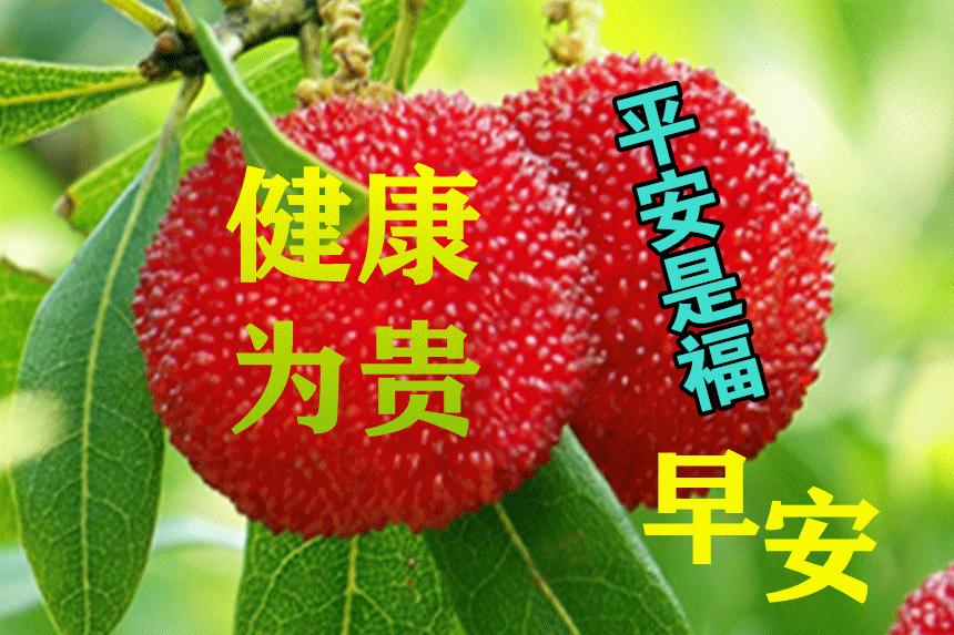 问候语祝福朋友的句子暖心,问候祝福朋友开心快乐的温馨句子