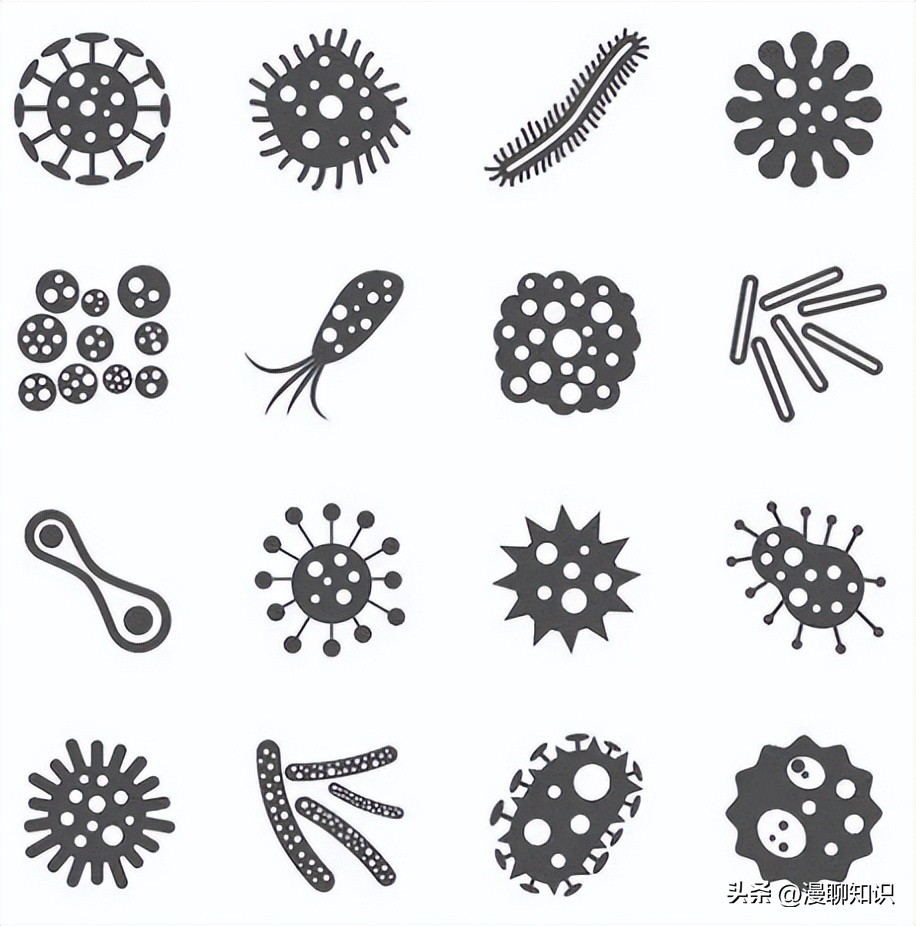 马疱疹病毒感染用什么治疗好,马病毒性疱疹