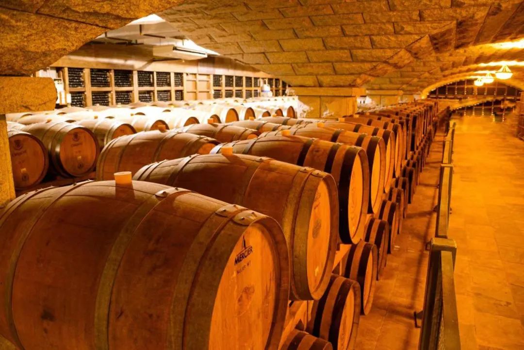 酿酒葡萄蛇龙珠,酿酒葡萄蛇龙珠和赤霞珠的区别