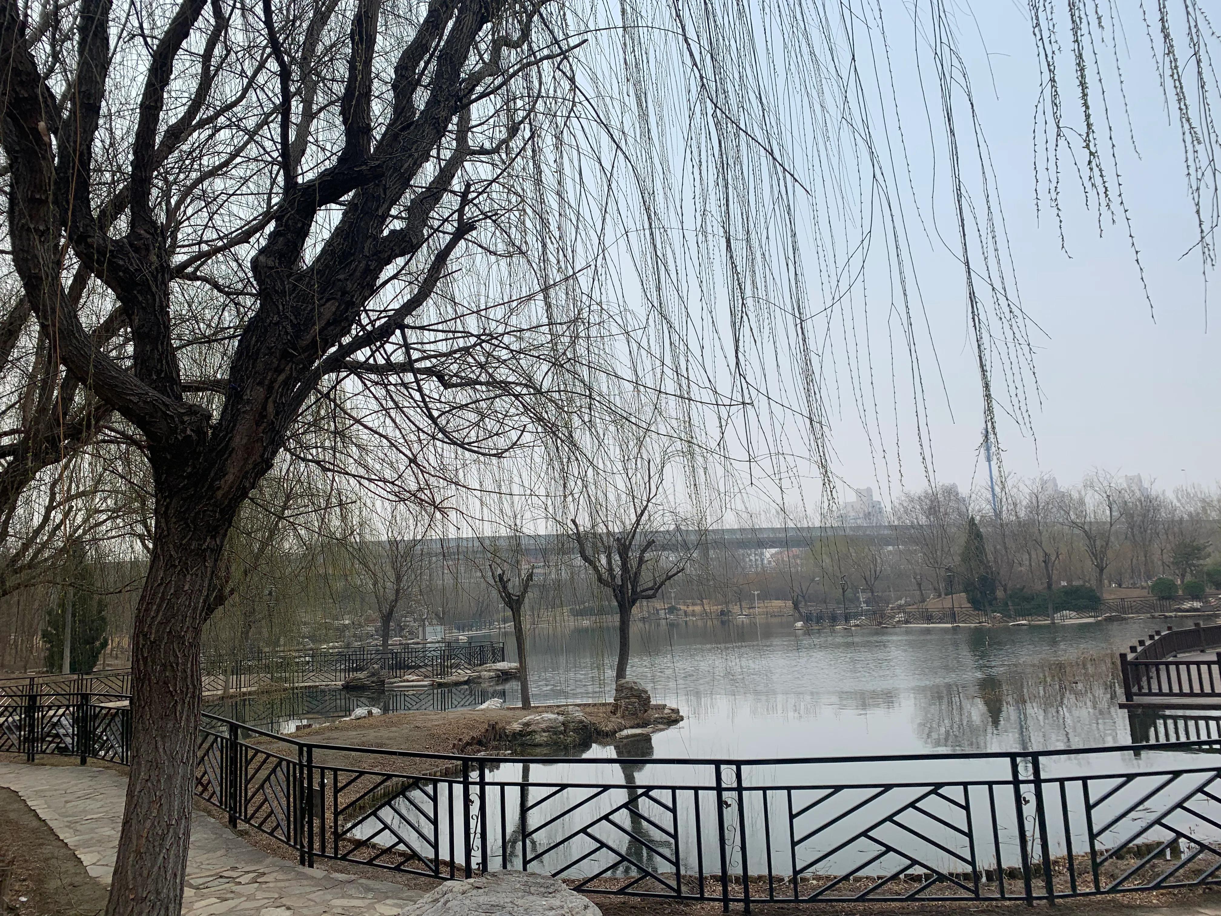 打卡天津博物馆,打卡天津意式风情区