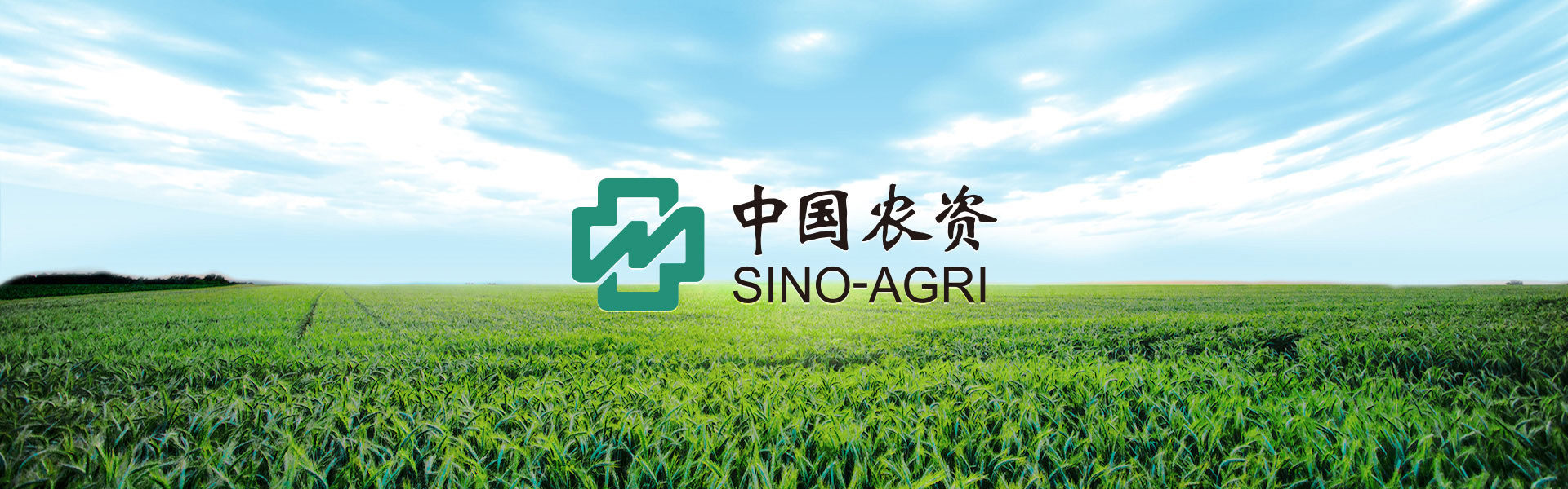 农村摆地摊卖什么东西最受欢迎,农村做什么生意赚钱快又稳