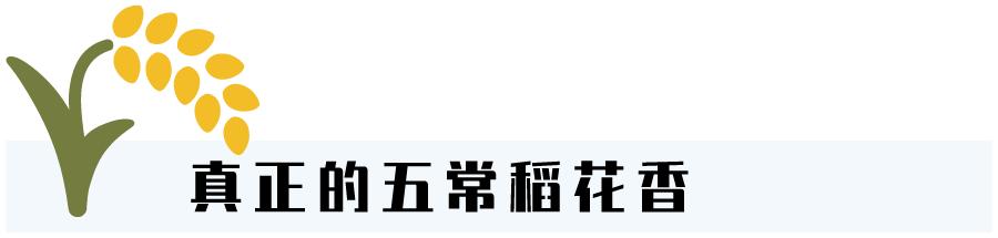 五常稻花香大米怎样辨别真假呢,五常大米国标1354和19266的区别