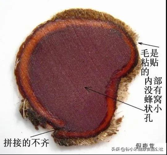 怎么挑选新鲜梅花鹿茸,梅花鹿鲜鹿茸怎么挑选和保存