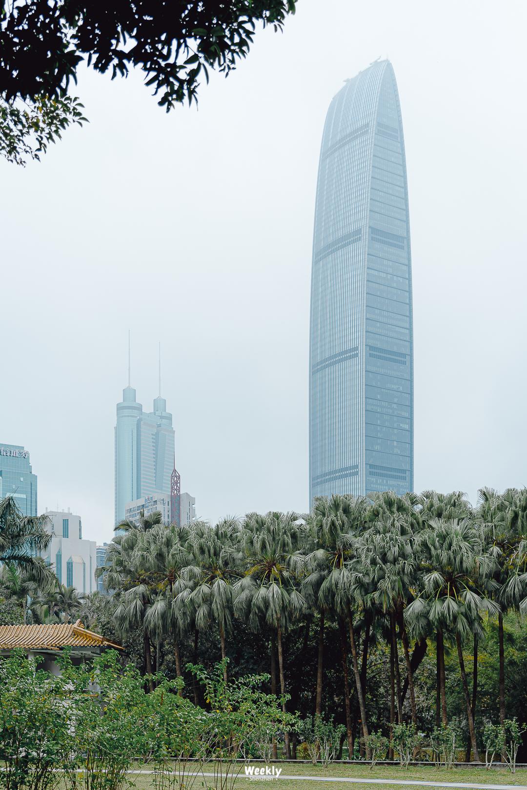 好好走过红荔路，才知道住福田有多让人羡慕