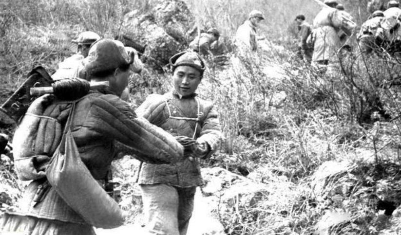 解放军113师简介,解放军113部队