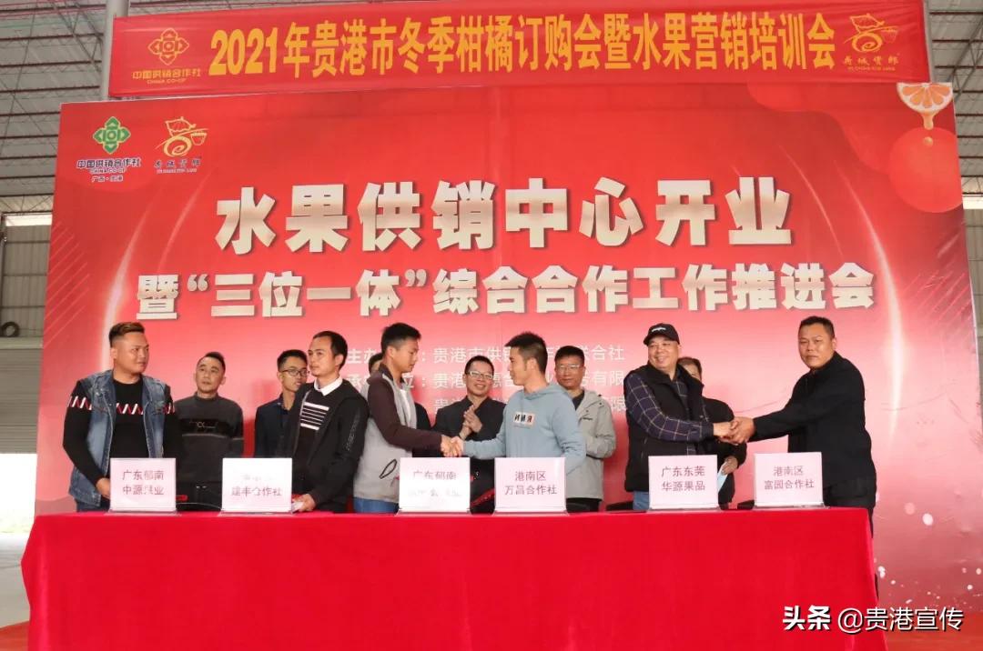 市供销合作社三农服务中心助增收,我为农民办实事