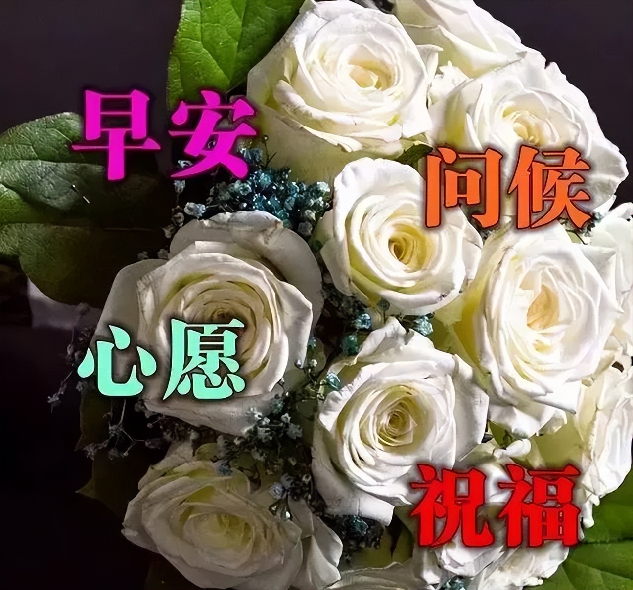 精美早上好问候语图片带字图文,文字中加带表情包的早上好问候语