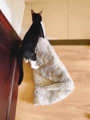 鍖绘姢浜哄憳鑱屼笟鏆撮湶鎰熸兂,鍖绘姢浜哄憳鑱屼笟鏆撮湶鏁堟灉璇勪环