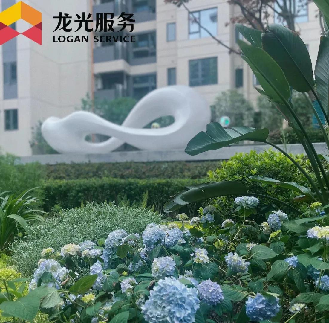 成都龙光天瀛一期效果,龙光天瀛合院什么时候交房