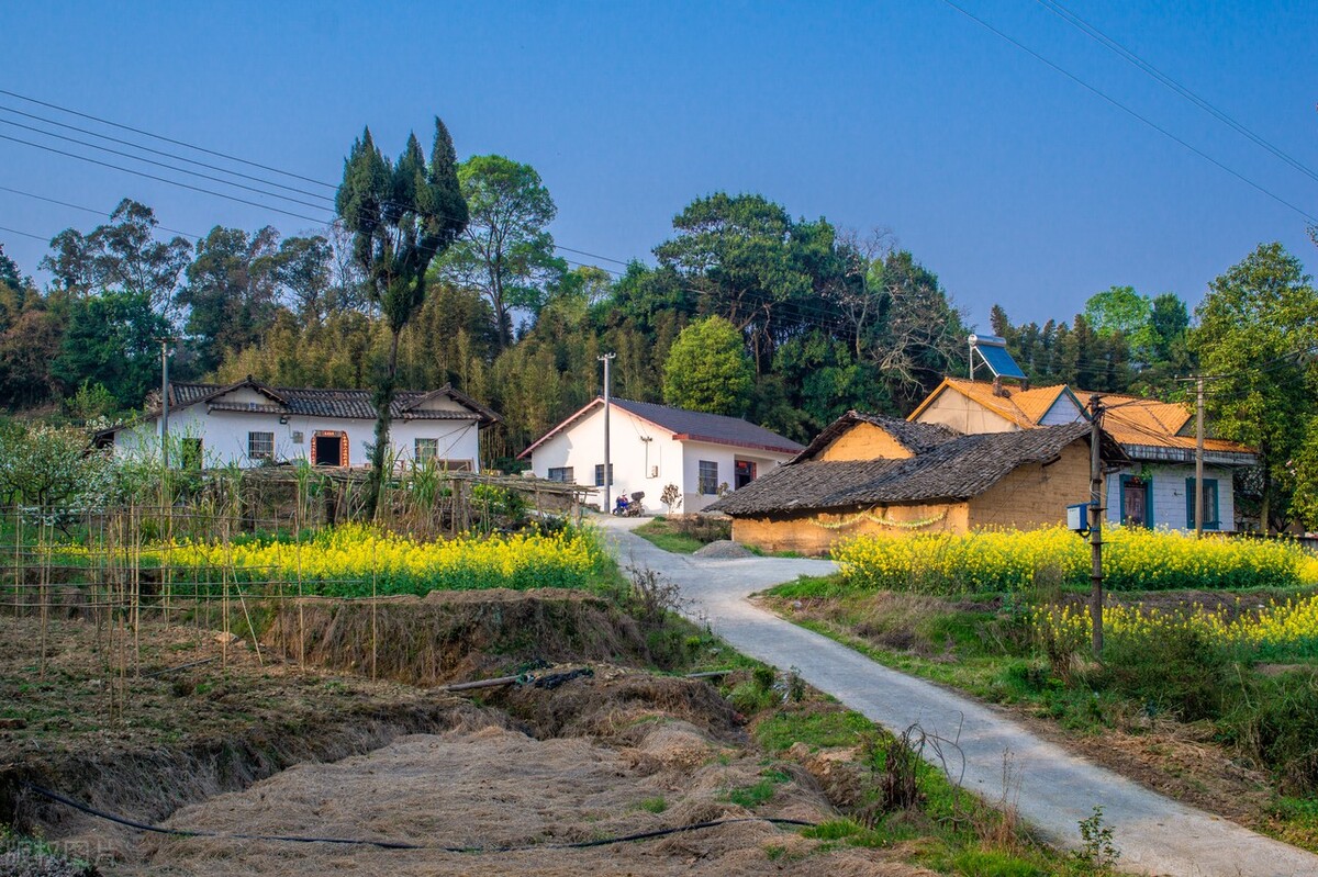 土地确权两个户口怎么办,两个户口一个宅基地如何确权