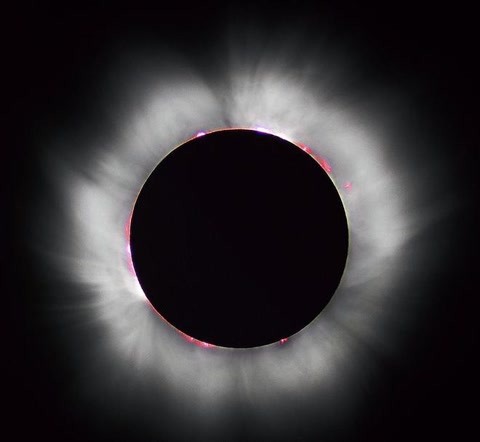 十大经典抓拍照片,100张绝美摄影照片