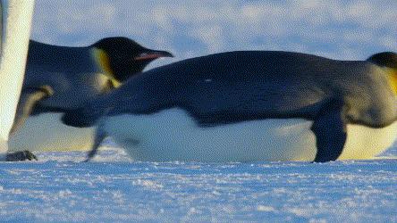 暑假怎么教育孩子,暑假怎么教育初中儿子