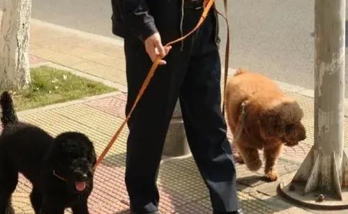 给爸妈换的手机,给父母换新机