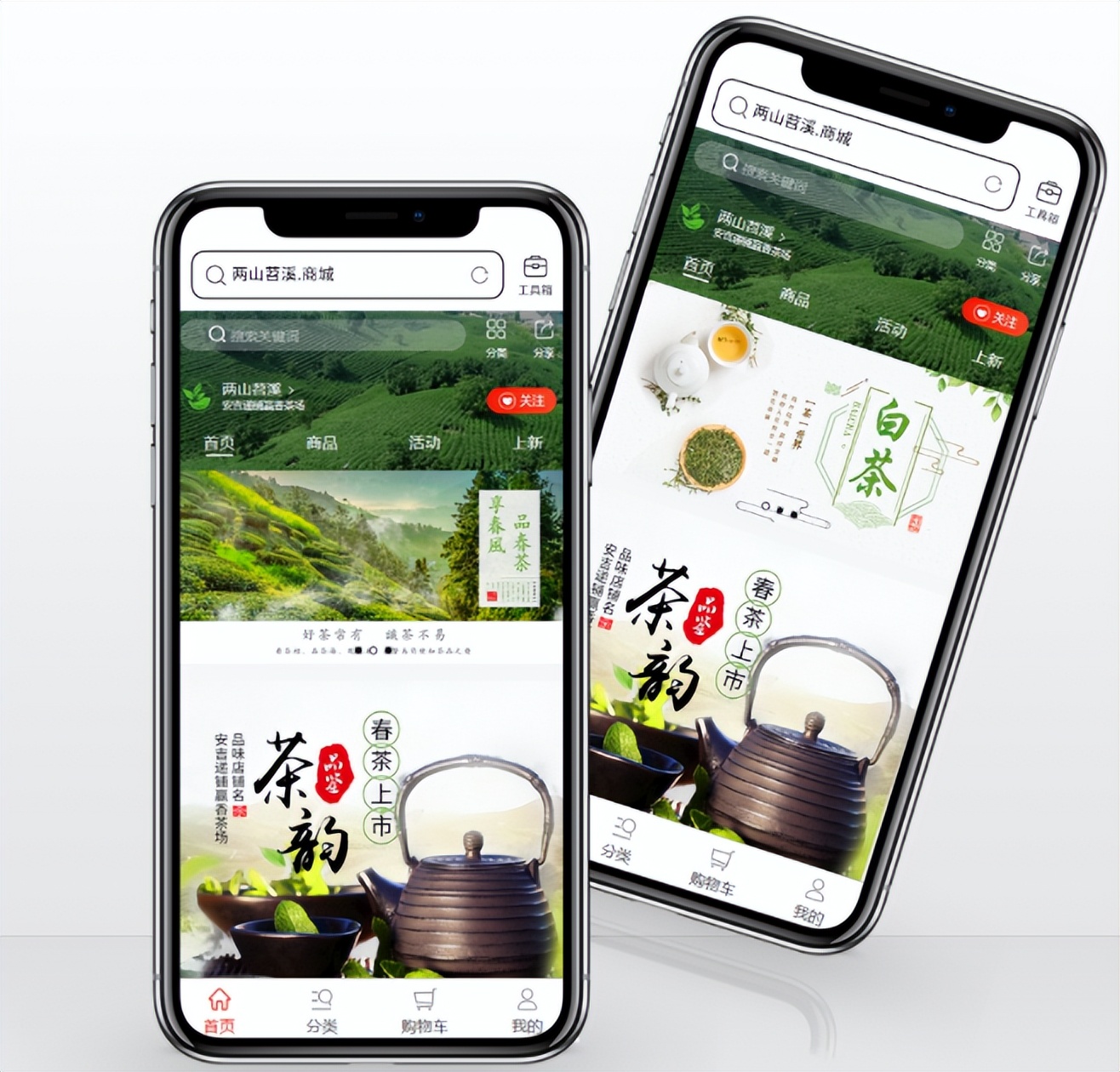 安吉递铺镇递铺村白茶,安吉白茶集团递铺旗舰店