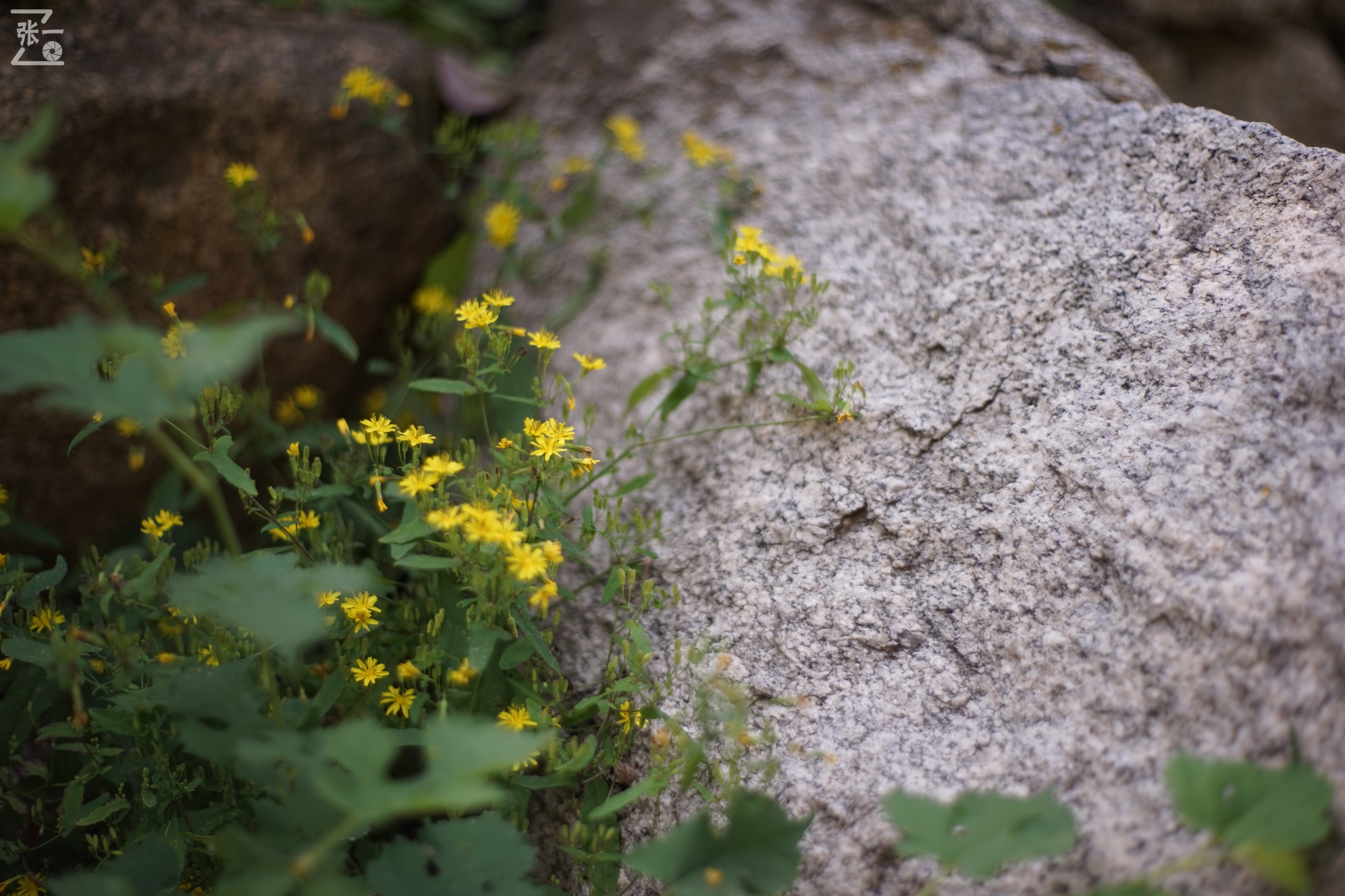 老镜头实拍,老镜头拍北京