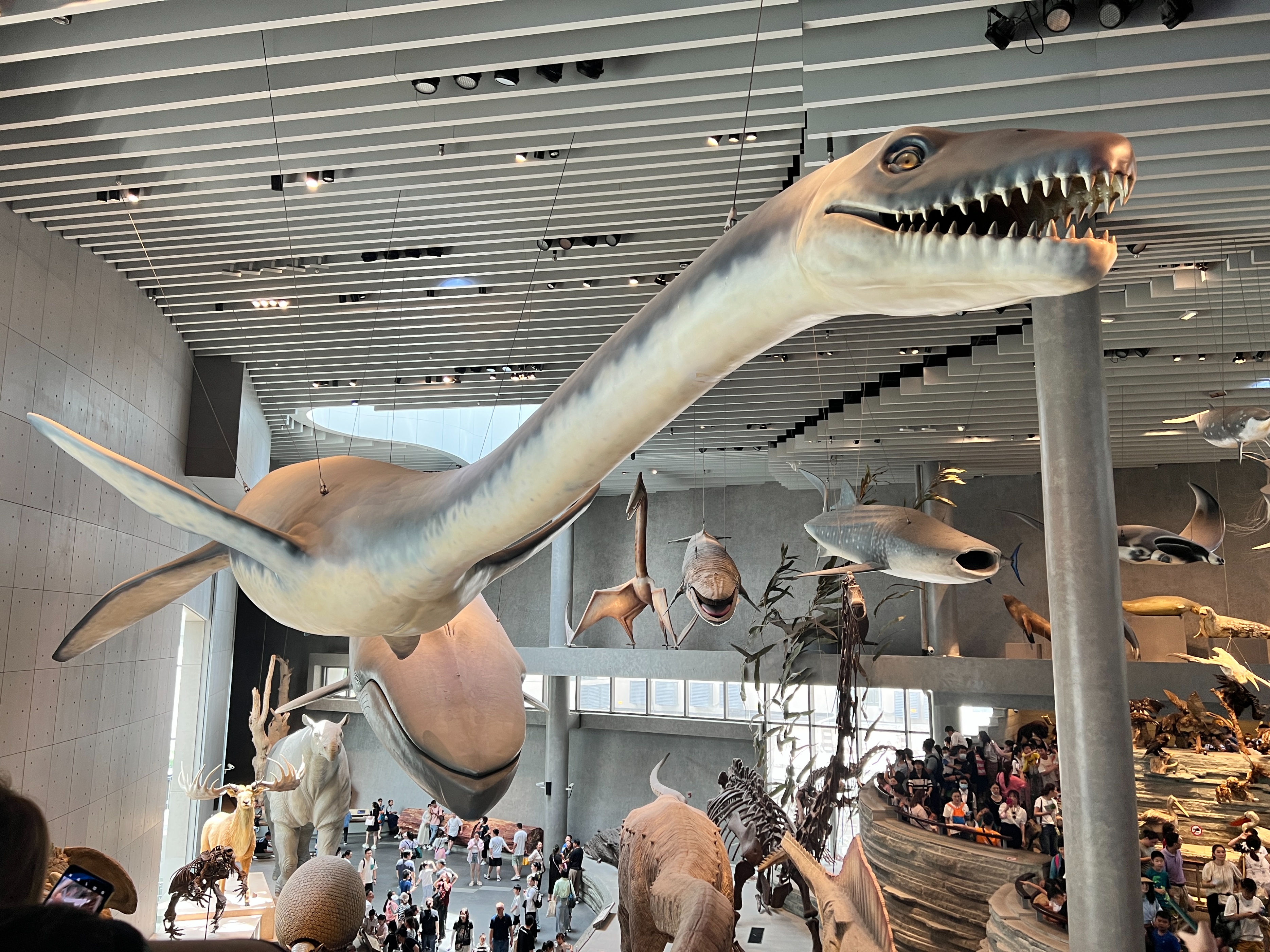 三天两晚上海游玩迪士尼,迪士尼三天两晚旅游