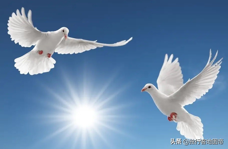 苏德瓜分波兰时波兰有多少土地,二战后波兰从德国分得了多少领土