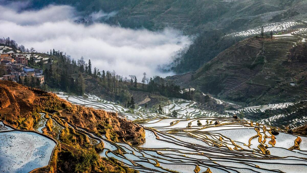 去云南旅游哪些美食值得推荐呢,去云南旅游当地有什么特色美食