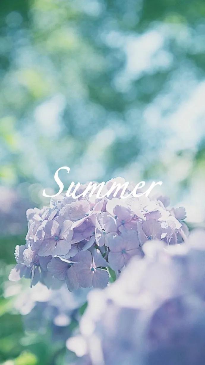 唯美手机壁纸高级感,唯美手机壁纸高清全面屏