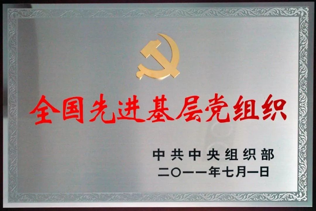 四十年逐梦深蓝：全球大港从“量”到“质”的蝶变|港口圈